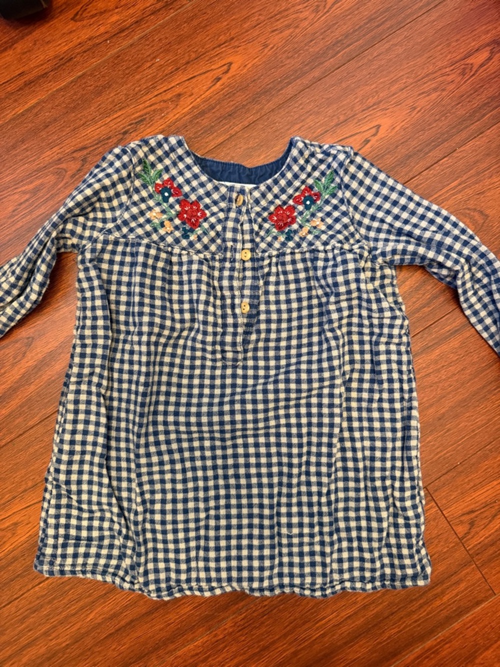 Zara Blue and White Gingham Dress with Red Floral Embroidery